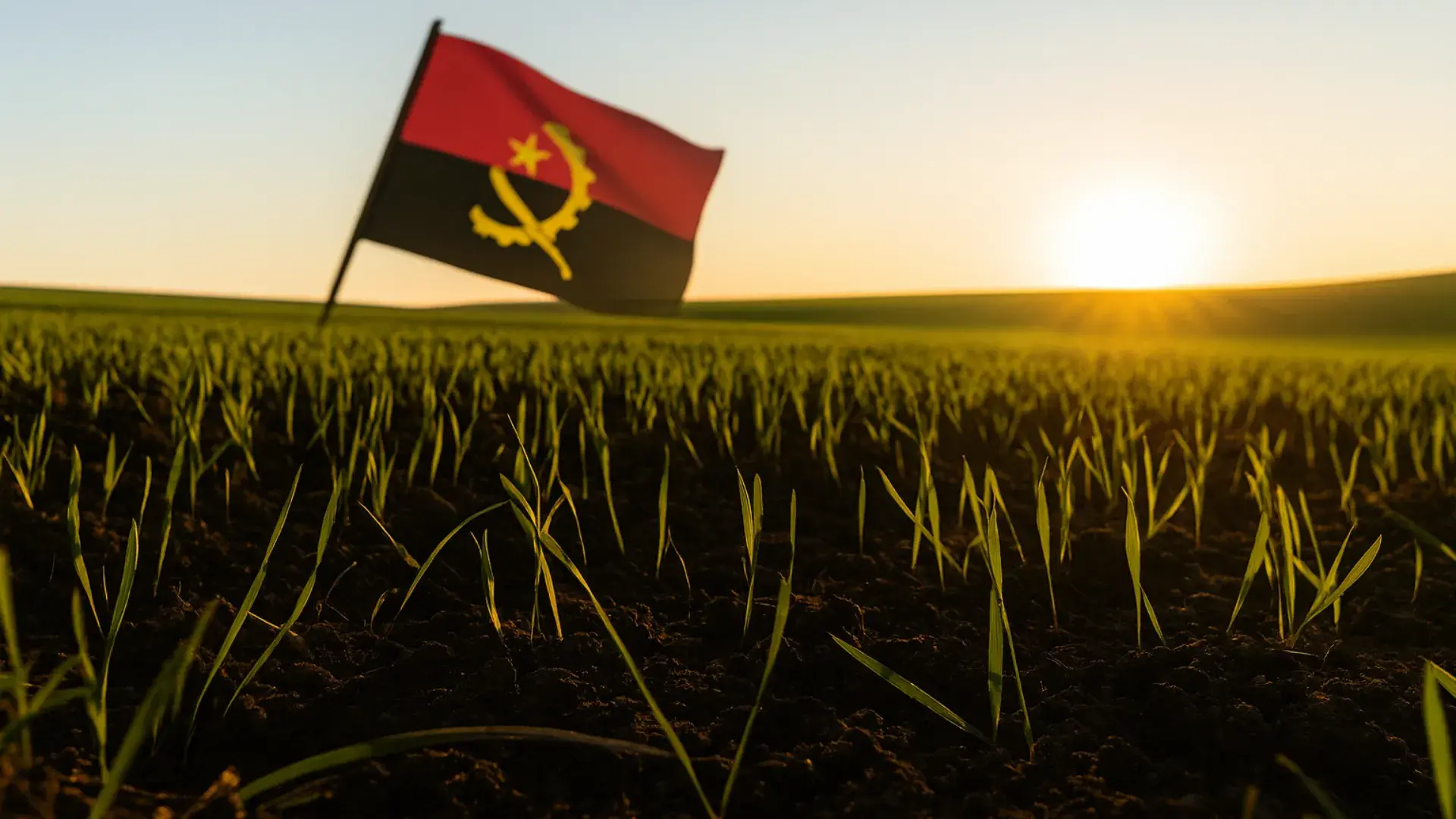 Direitos fundiários em Angola