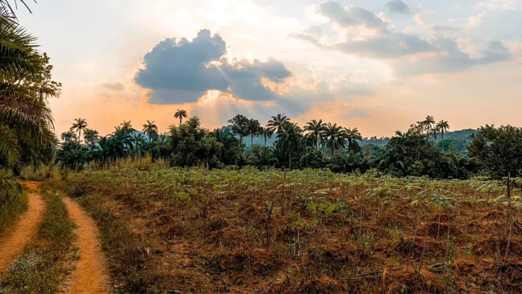 Toda a terra em Angola pertence ao Estado
